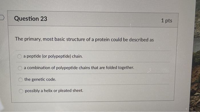 Solved Question 23 1 pts The primary, most basic structure | Chegg.com