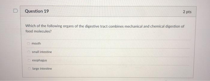 Solved D Question 19 2 pts Which of the following organs of | Chegg.com