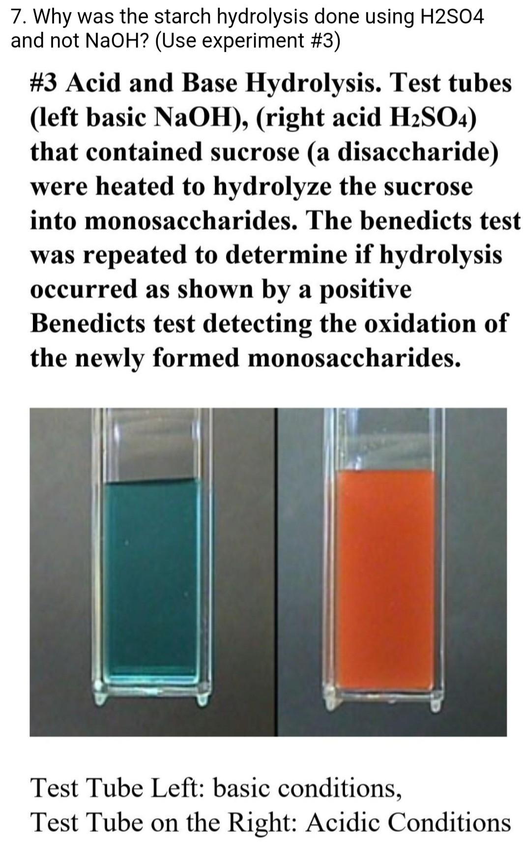 starch hydrolysis test