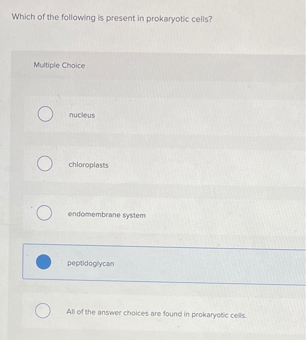 Solved Which Of The Following Is Present In Prokaryotic Chegg