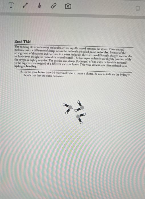 solved-properties-of-water-what-makes-water-so-special-why-chegg