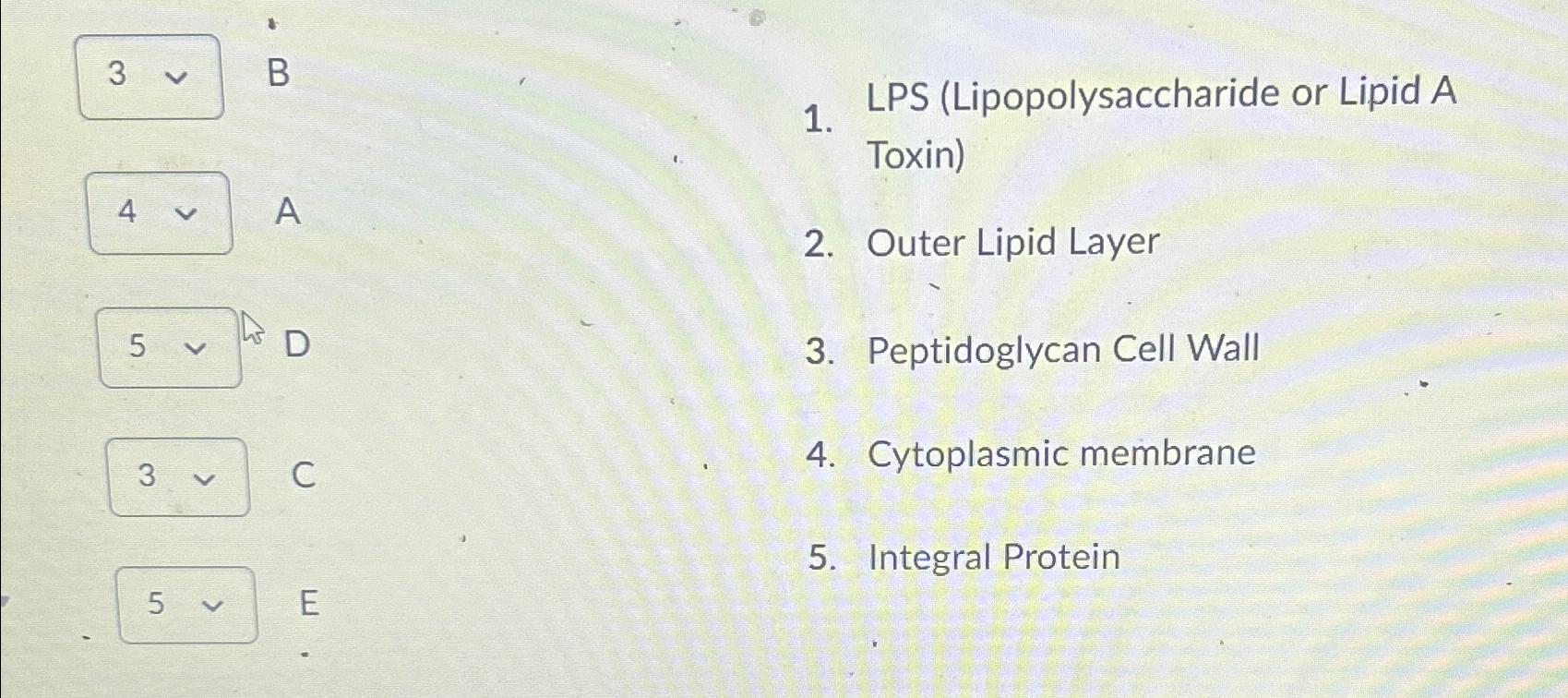 Solved 3vvB4vvA5vvDCELPS (Lipopolysaccharide or Lipid A | Chegg.com