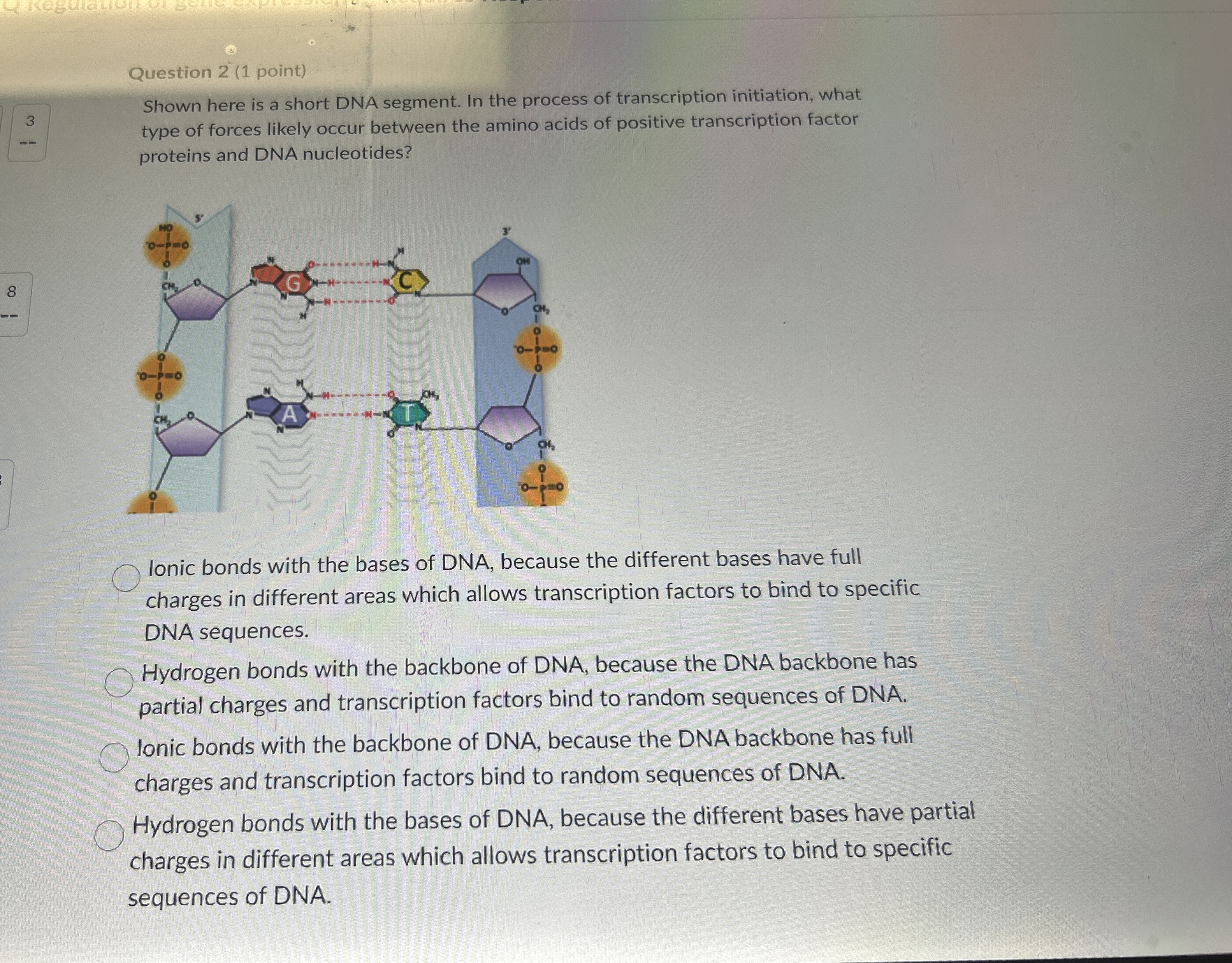 Solved Question 2 (1 ﻿point)3Shown here is a short DNA | Chegg.com