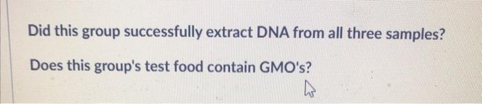 Did this group successfully extract DNA from all three samples? Does this groups test food contain GMOs?