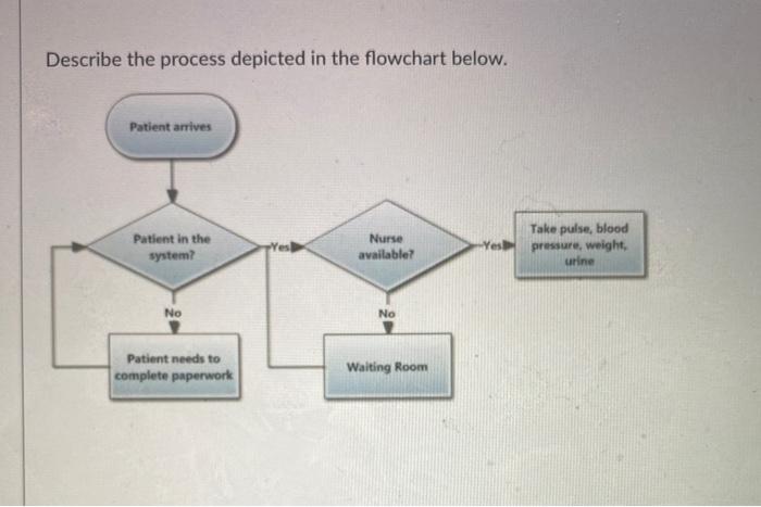 Solved Describe the process depicted in the flowchart below. | Chegg.com