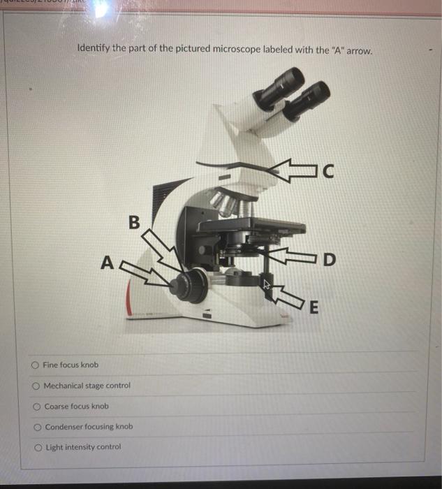 Solved Identify the part of the pictured microscope labeled | Chegg.com