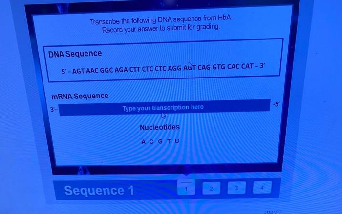 Solved Transcribe the following DNA sequence from HbA. | Chegg.com