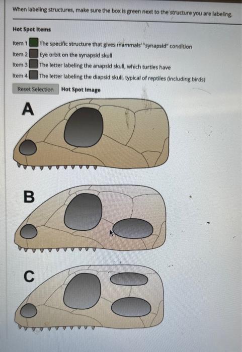 Solved One Question Two Parts Please Help Answer Both Carts | Chegg.com