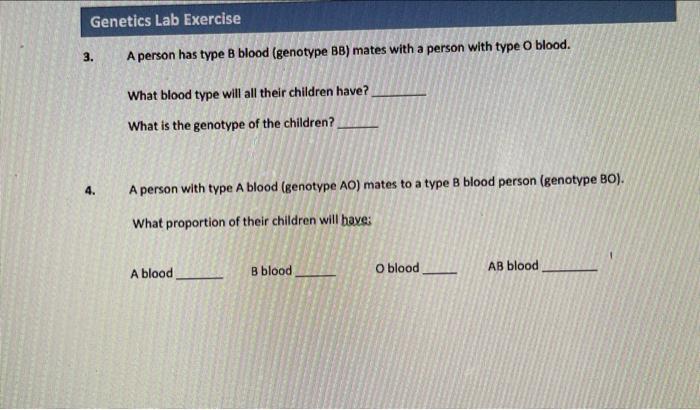 Solved Genetics Lab Exercise 3. A Person Has Type B Blood | Chegg.com