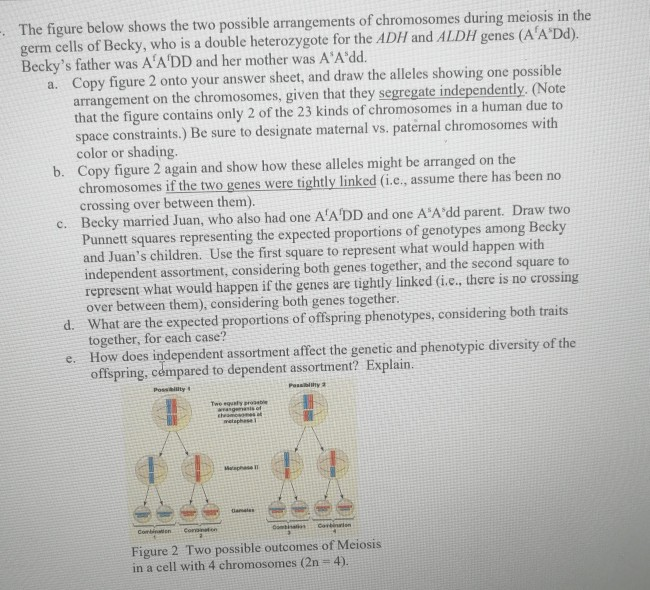 Solved The figure below shows the two possible arrangements | Chegg.com