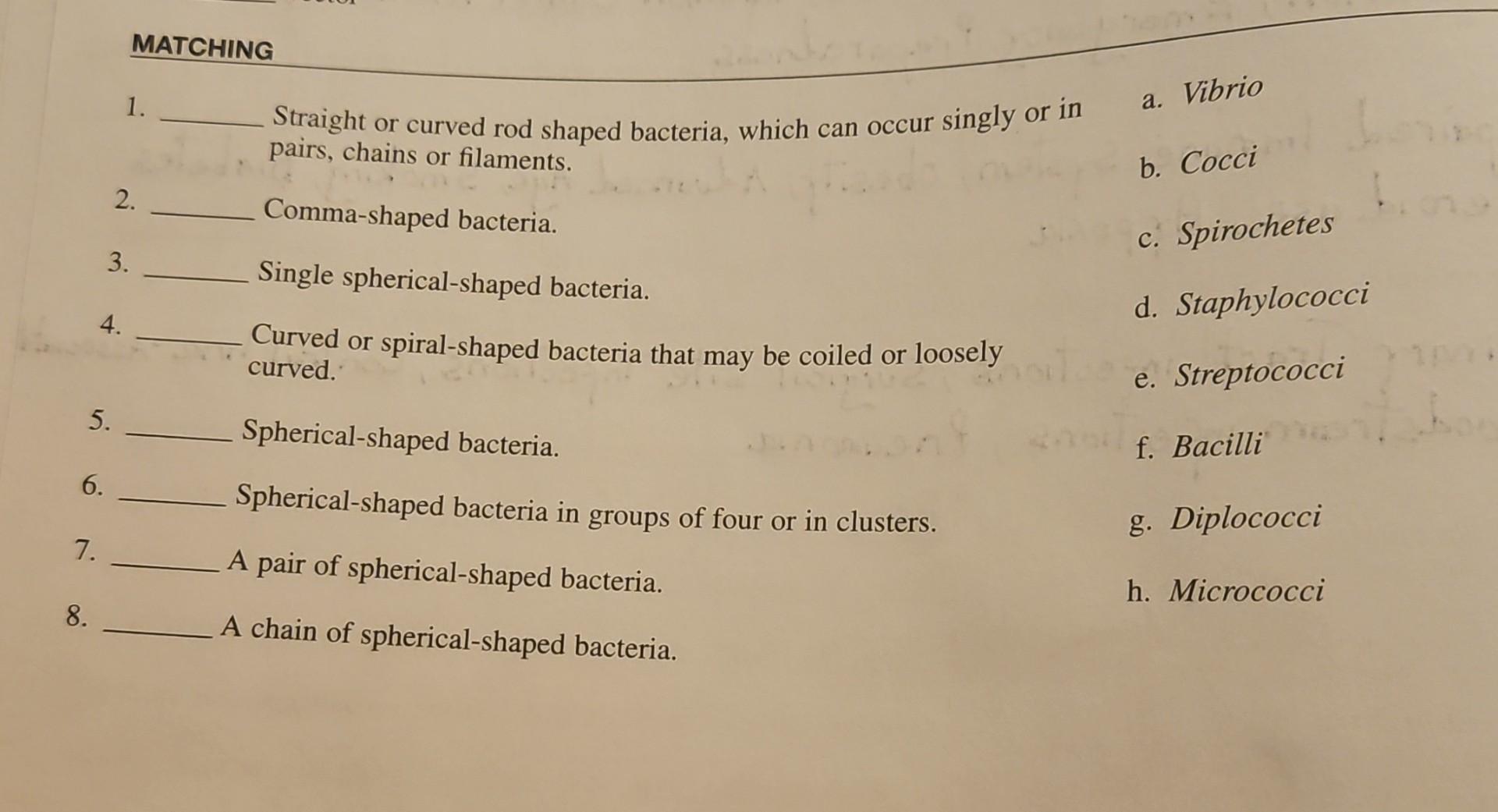 Solved 1. Straight or curved rod shaped bacteria, which can