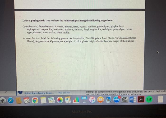 Solved Draw a phylogenetic tree to show the relationships | Chegg.com
