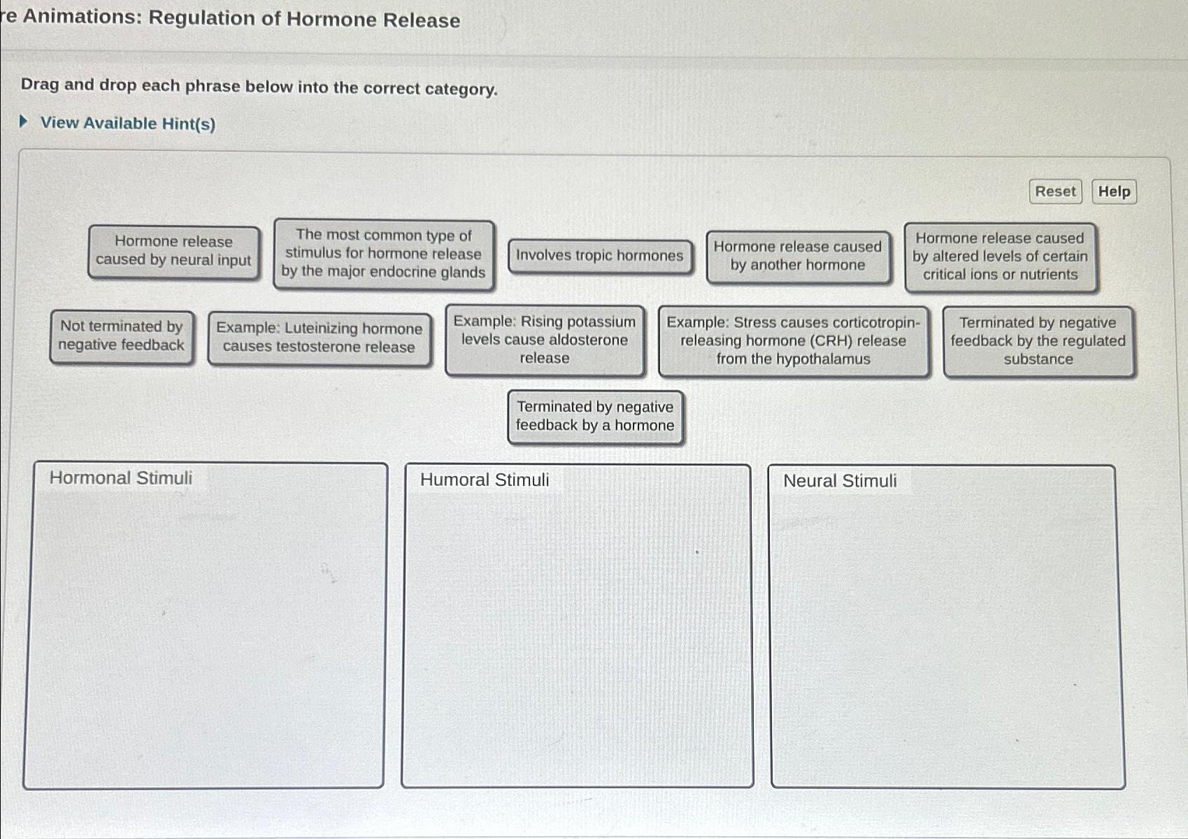 Solved e Animations: Regulation of Hormone ReleaseDrag and | Chegg.com