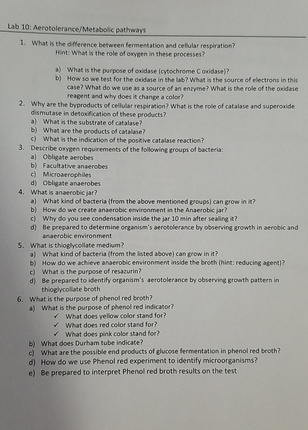 Solved Lab 10: Aerotolerance/Metabolic pathways 1. What is | Chegg.com