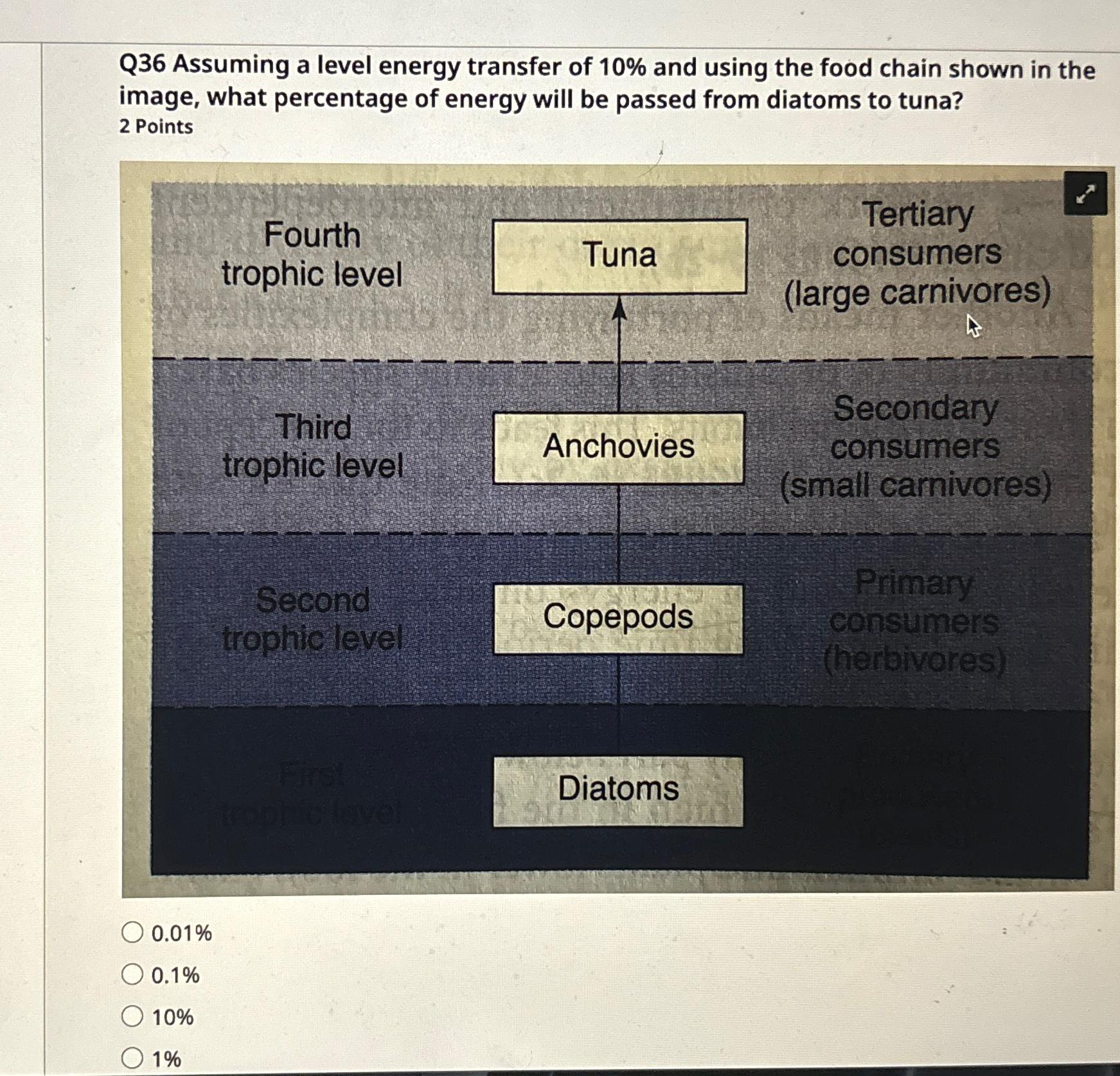 Solved Q36 ﻿Assuming a level energy transfer of 10% ﻿and | Chegg.com