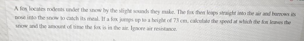 A FOX LOCATES RODENTS UNDER THE SNOW visual data 4