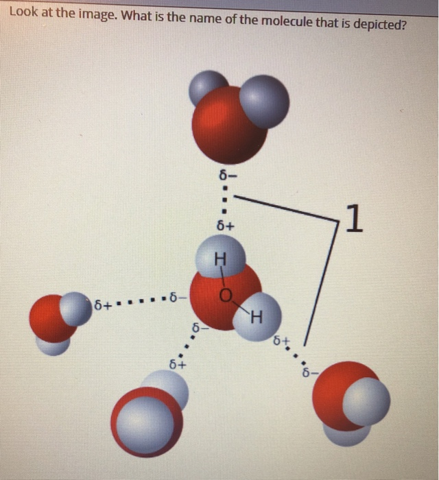 Solved Look at the image. What is the name of the molecule | Chegg.com