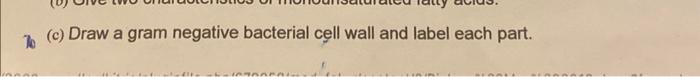Solved (c) Draw a gram negative bacterial cell wall and | Chegg.com