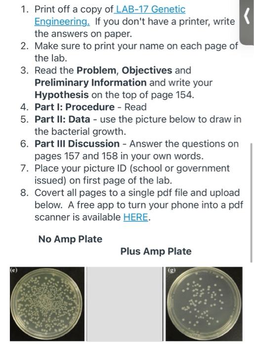 1. Print off a copy of LAB-17 Genetic Engineering. If | Chegg.com