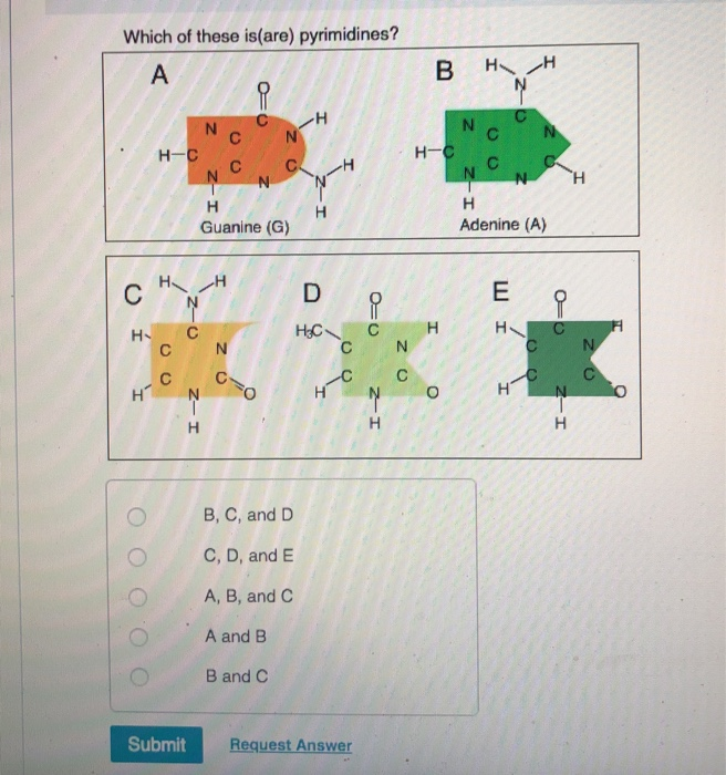 Solved Which Of These Is Are Pyrimidines M Hh Nc N Ch 2 Chegg Com