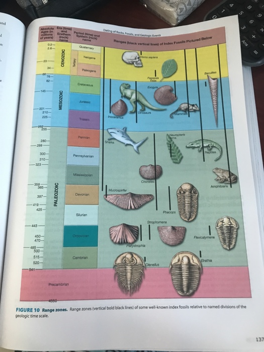 Solved VITY 3 Use Index Fossils to Date Rocks and Events | Chegg.com