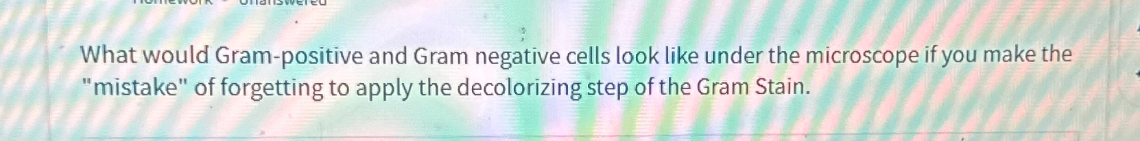 Solved What would Gram-positive and Gram negative cells look | Chegg.com
