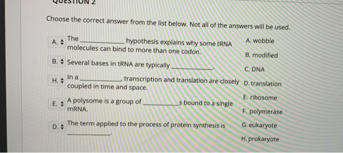 solved-question-1-what-is-an-iron-response-element-a-chegg