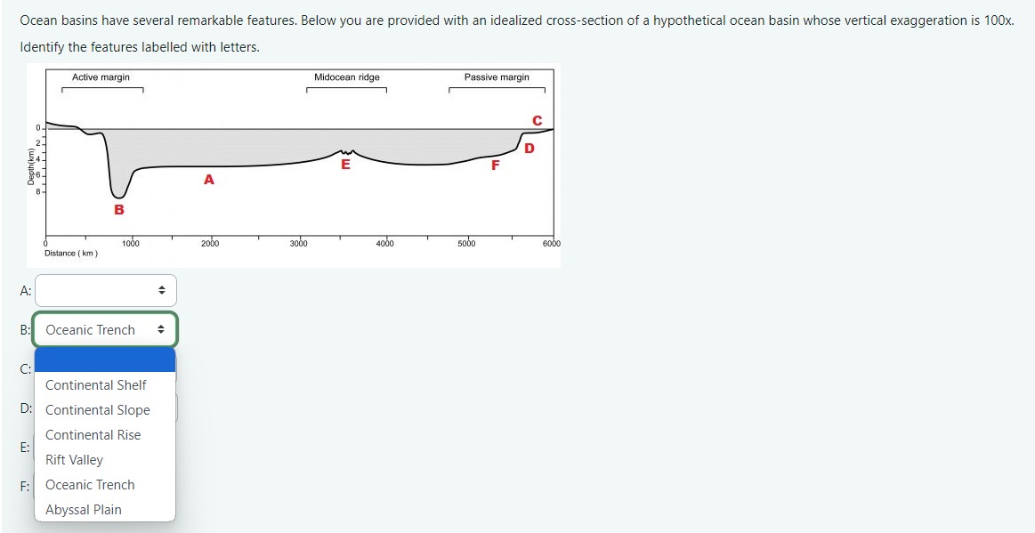 Solved Ocean basins have several remarkable features. Below