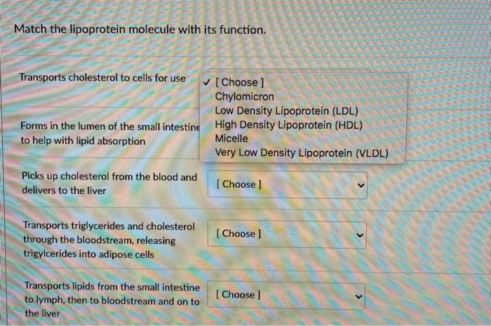 Solved Match the lipoprotein molecule with its function. | Chegg.com