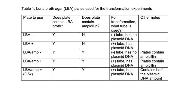 Solved For Table 1. Luria broth agar (LBA) plates used for | Chegg.com