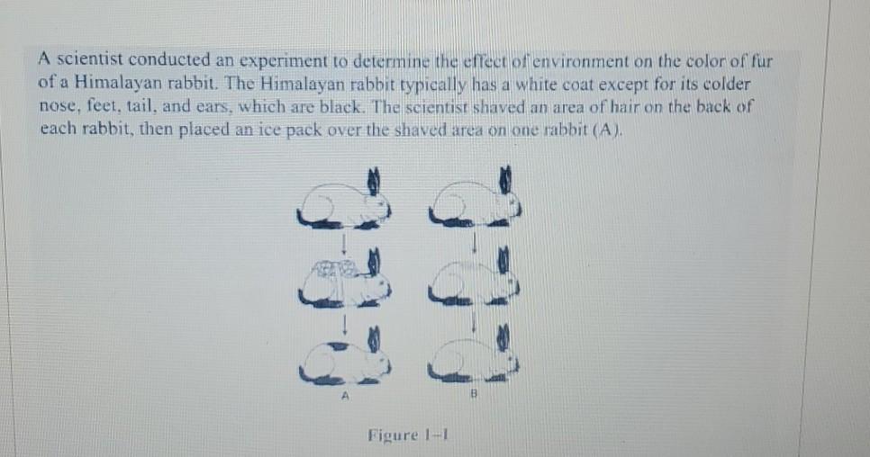 Solved A scientist conducted an experiment to determine the | Chegg.com