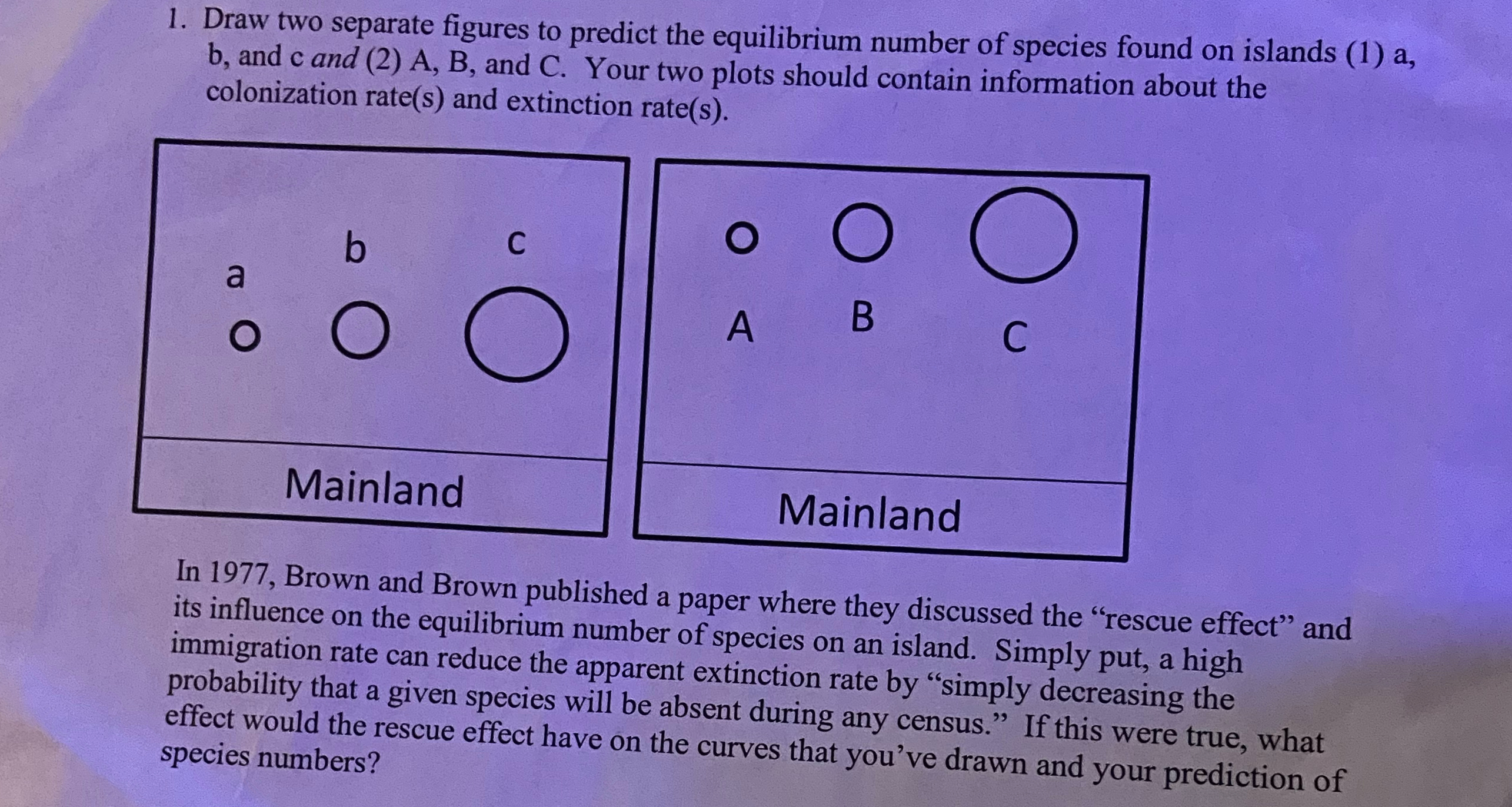 Solved Draw two separate figures to predict the equilibrium | Chegg.com