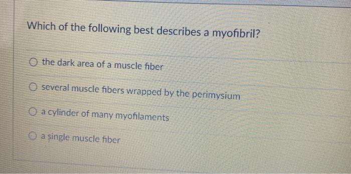 Solved Which Of The Following Best Describes A Myofibril? | Chegg.com