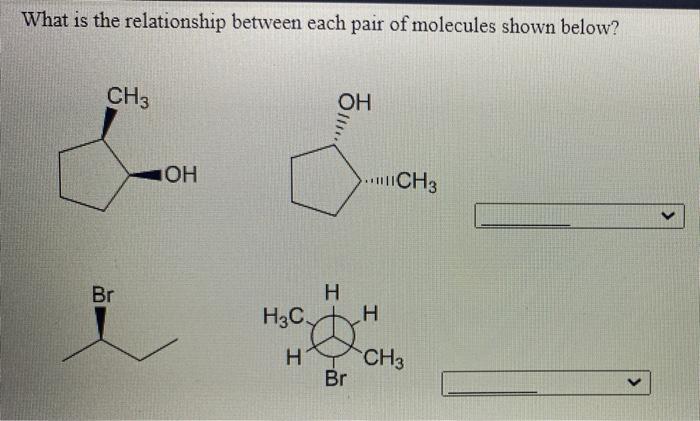 Solved What is the relationship between each pair of | Chegg.com
