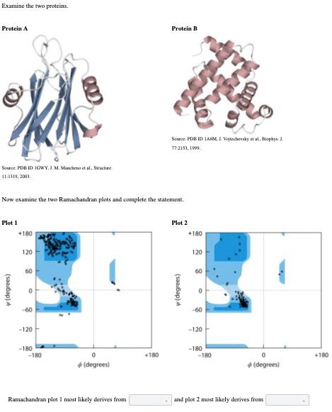 Solved Examine The Two Proteins. Protein A Protein B Source: | Chegg.com