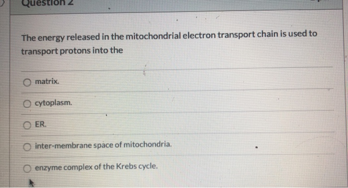 Solved The energy released in the mitochondrial electron | Chegg.com