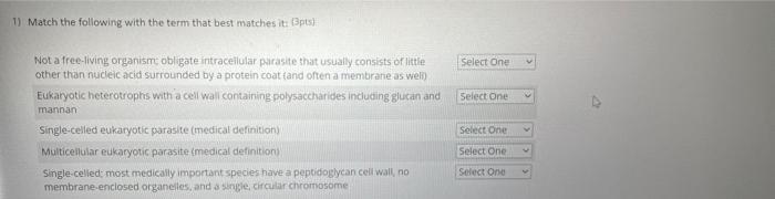 Solved 1) Match the following with the term that best | Chegg.com