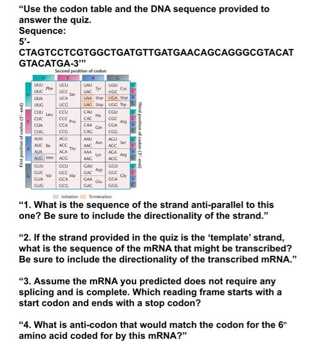 Solved "Use the codon table and the DNA sequence provided to | Chegg.com