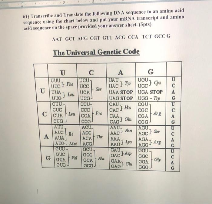 Solved 61) Transcribe and Translate the following DNA | Chegg.com