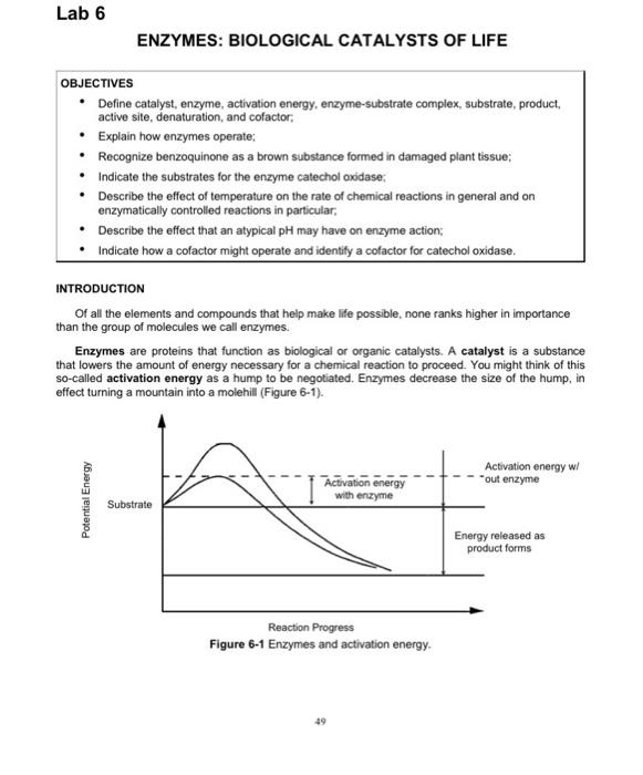 Solved Lab 6 ENZYMES: BIOLOGICAL CATALYSTS OF LIFE | Chegg.com