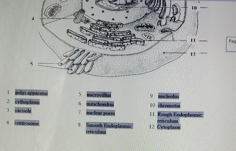 Solved Part IV. 12 points. Identify each of the structures | Chegg.com