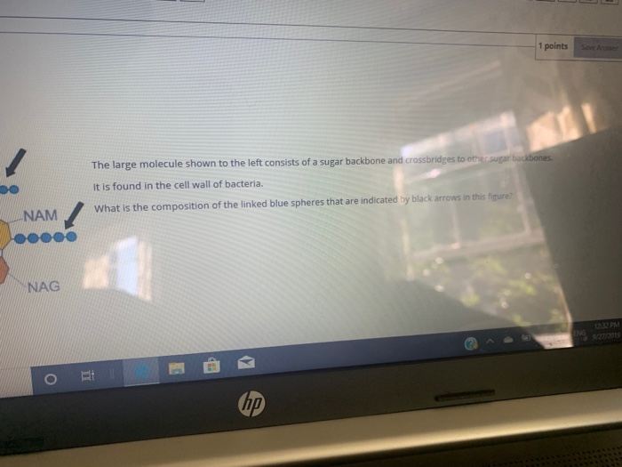 Solved 1 Points Save Answer The Large Molecule Shown To The | Chegg.com