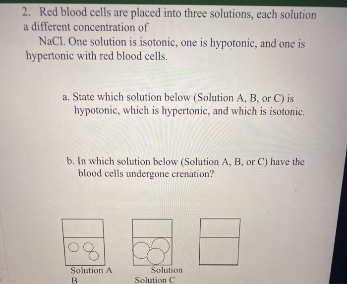 Solved 2. Red blood cells are placed into three solutions, | Chegg.com
