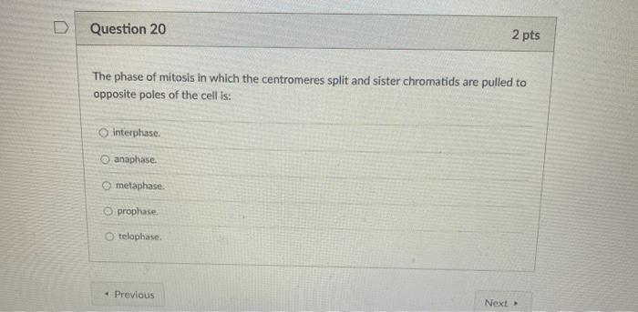 Solved D Question 20 2 Pts The Phase Of Mitosis In Which The | Chegg.com