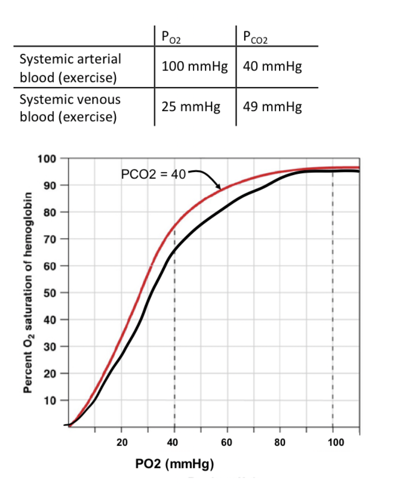 Solved How do pH and HCO3- ﻿effect PCO2 ﻿and PO2 | Chegg.com