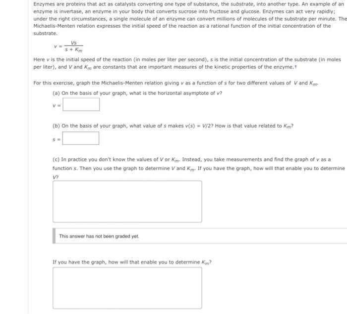 Solved Enzymes are proteins that act as catalysts converting