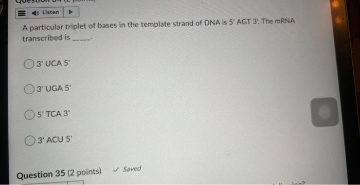 solved-a-particular-triplet-of-bases-in-the-template-strand-chegg