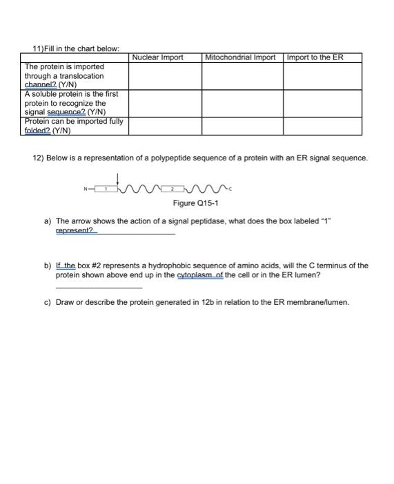 groups of three nucleotides signal for specific