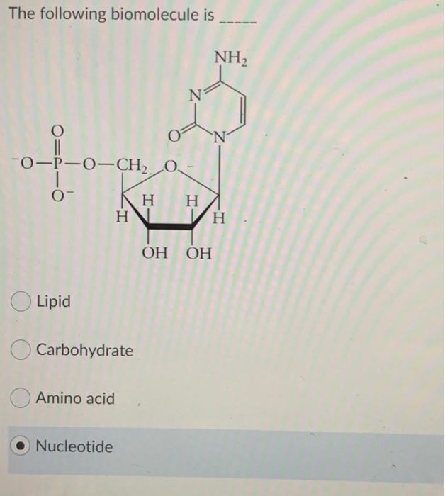 Carboxylic acid derivatives examples picture