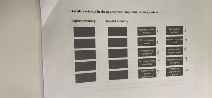 Solved Classify each box in the appropriate long-term memory | Chegg.com